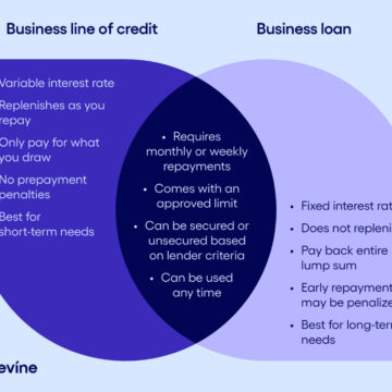 Business Line of Credit vs Business Loan: Which is Right for Your Company?
