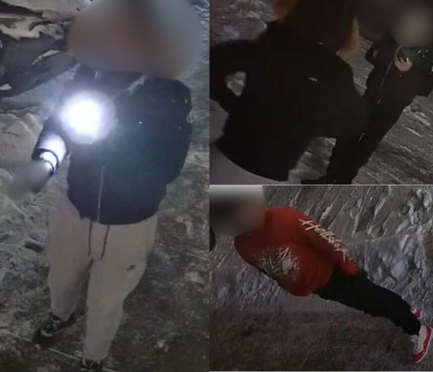 Three youths sought after assault, harassment in SE Calgary: police
