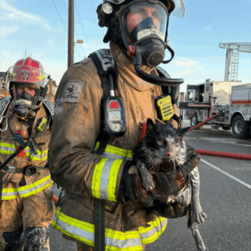 Cat-rescued-from-Heartland-structure-fire-Cochrane-Fire-Services-774x1024-1 Fire tears through several Cochrane homes, leaving residents displaced