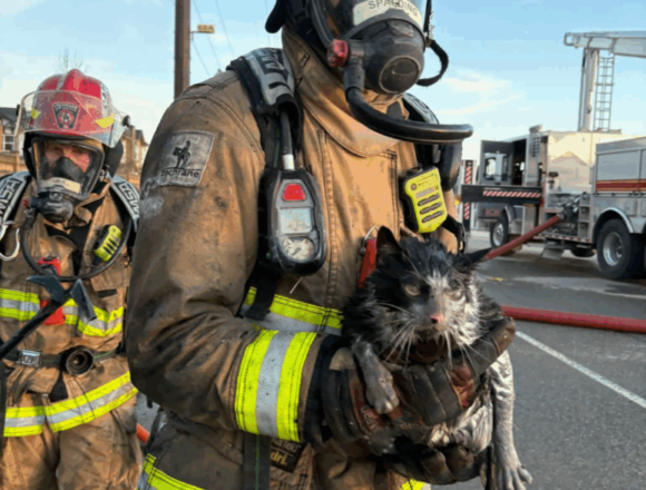 Fire tears through several Cochrane homes, leaving residents displaced