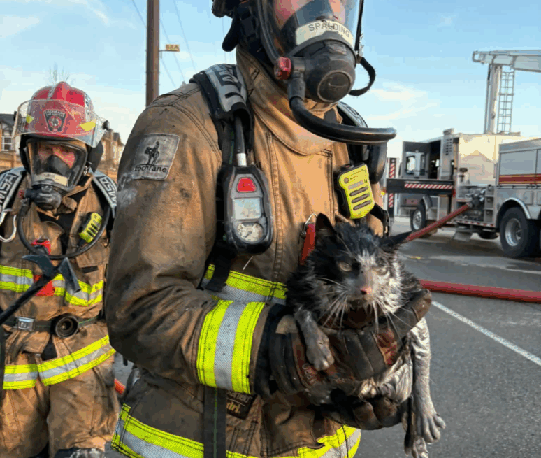 Fire tears through several Cochrane homes, leaving residents displaced